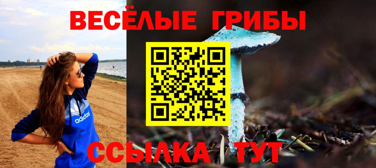 Луга  Галлюциногенные грибы мицелий  Вход с VPN 